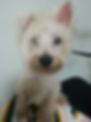 l Communication testimonials