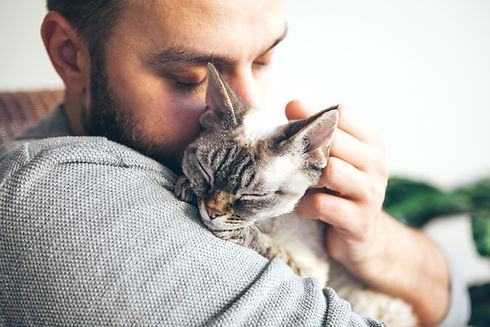 A person feel sad of departed pet cat.