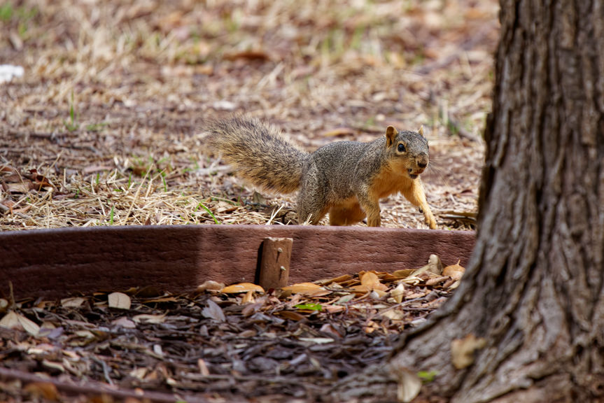 _DSC2496_DxO.jpg