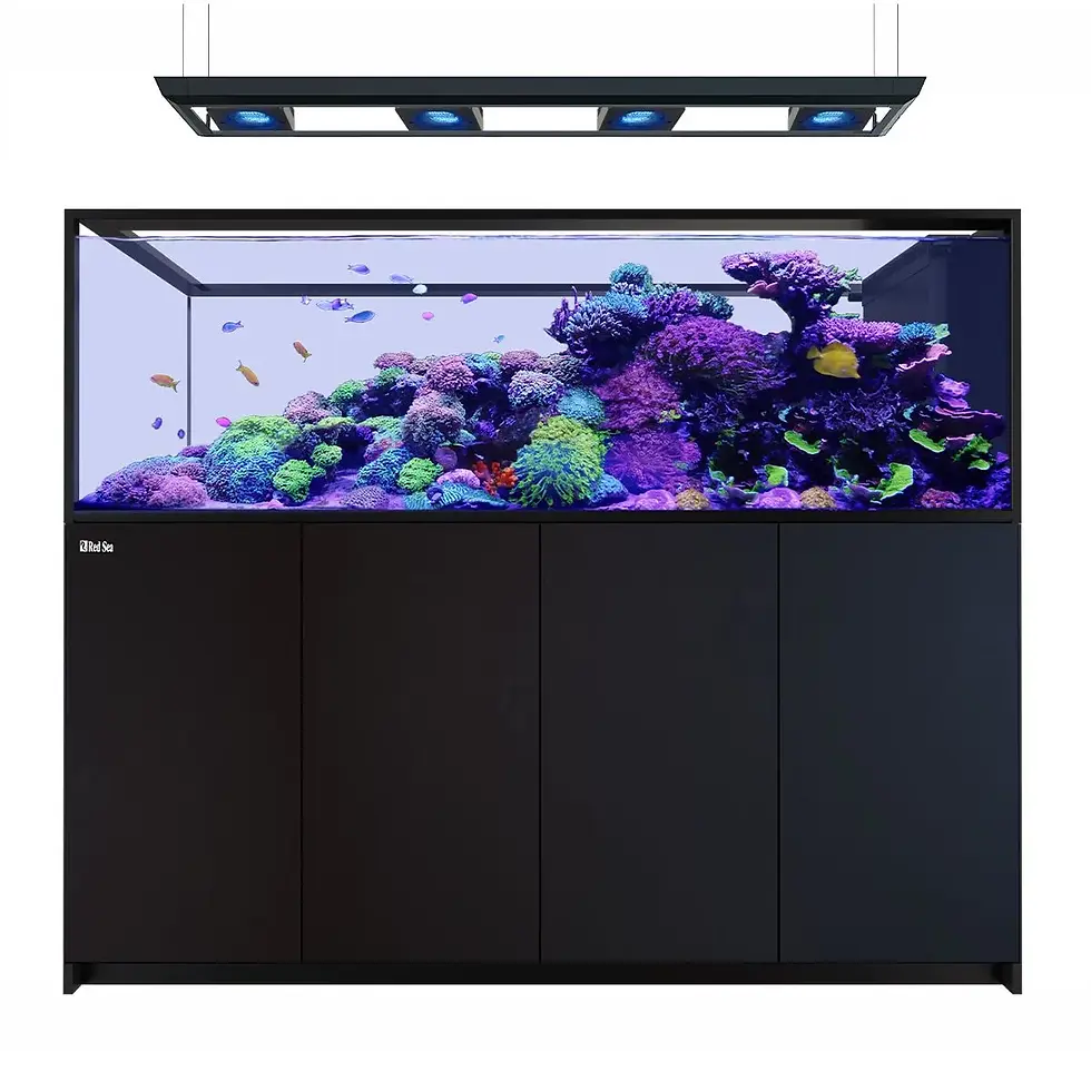 Thumbnail: REEFER Deluxe Peninsula S-950 G3 Aquarium System (200 Gallons) (incl. 4 x ReefLE