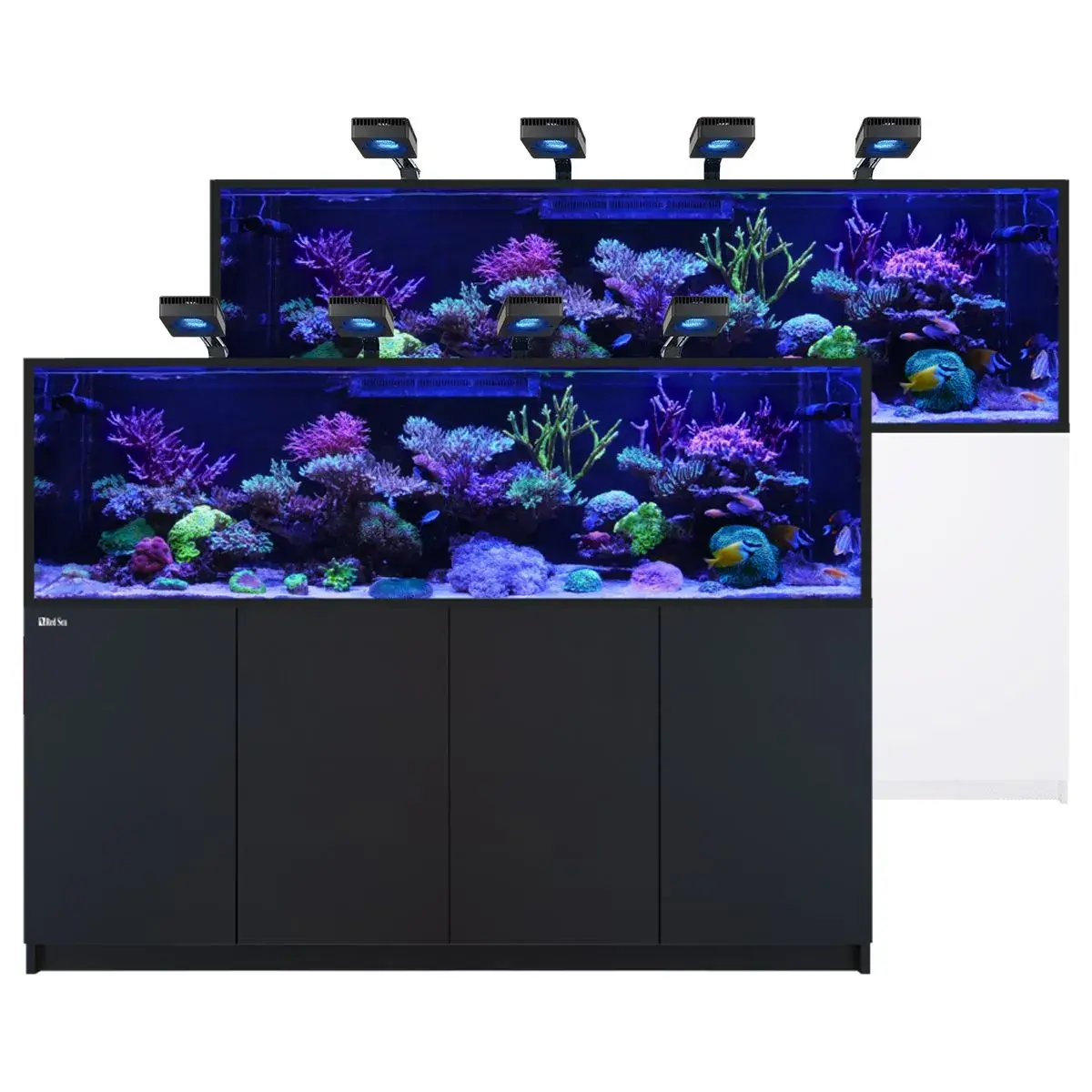 REEFER Deluxe S-1000 G3 Aquarium System (210 Gallons) (incl. 4 x ReefLED 170)