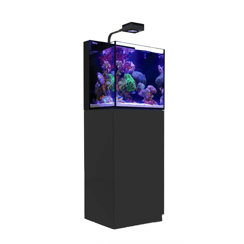 Thumbnail: MAX NANO G2 Cube Aquarium (20 Gal)