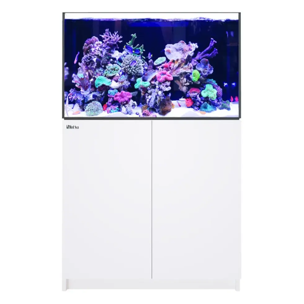 Thumbnail: REEFER 300 G3 Aquarium (65 Gallons)