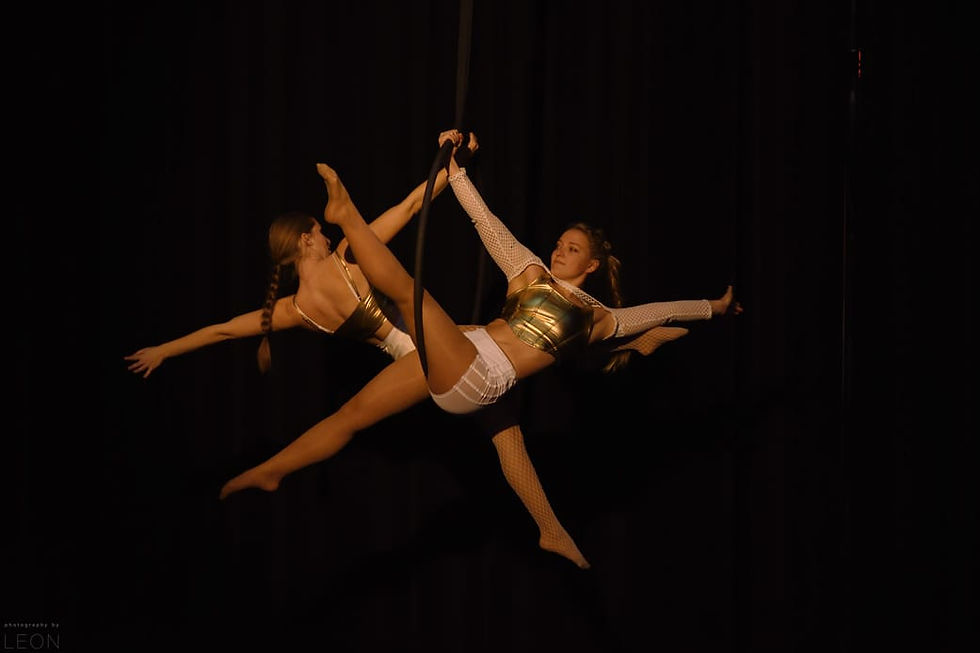 Aerial Movements Show