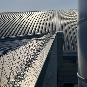 Rooftop 1.jpg