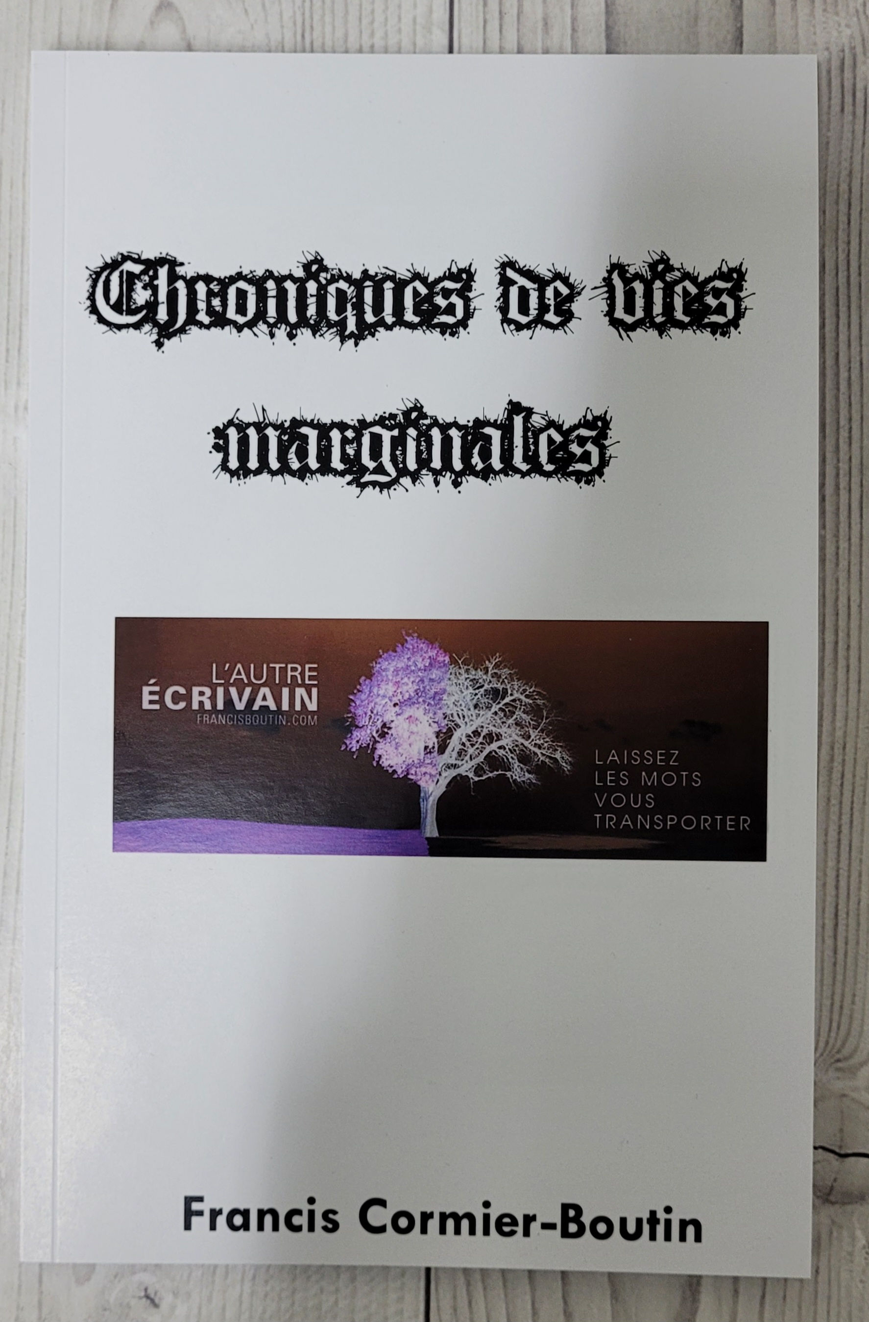 Recueil Chroniques de vies marginales