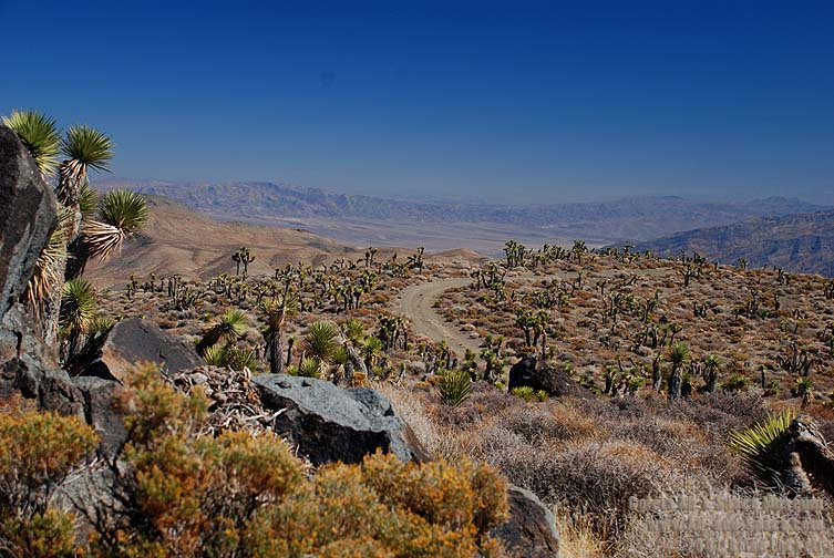 Legend of the Lost Gunsight Mine