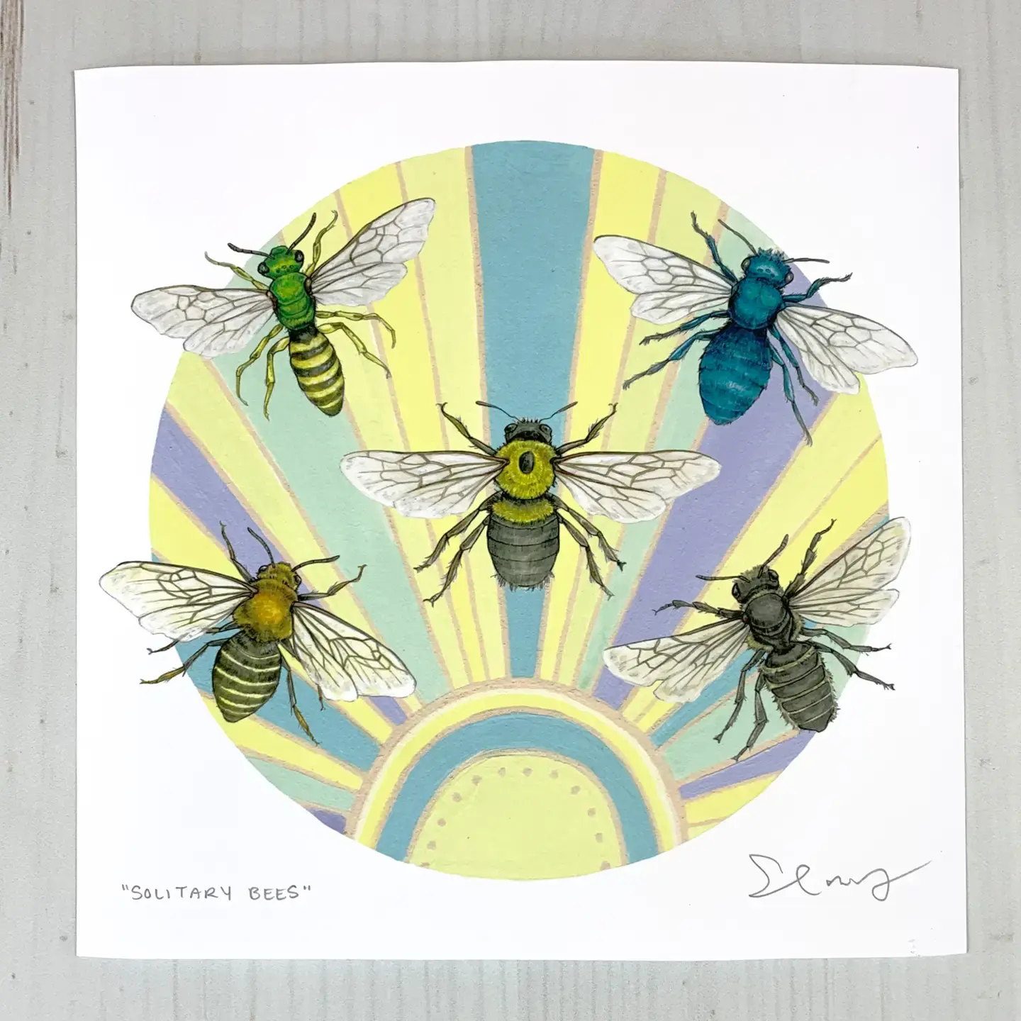 Solitary Bees - 8x8 " Archival Print