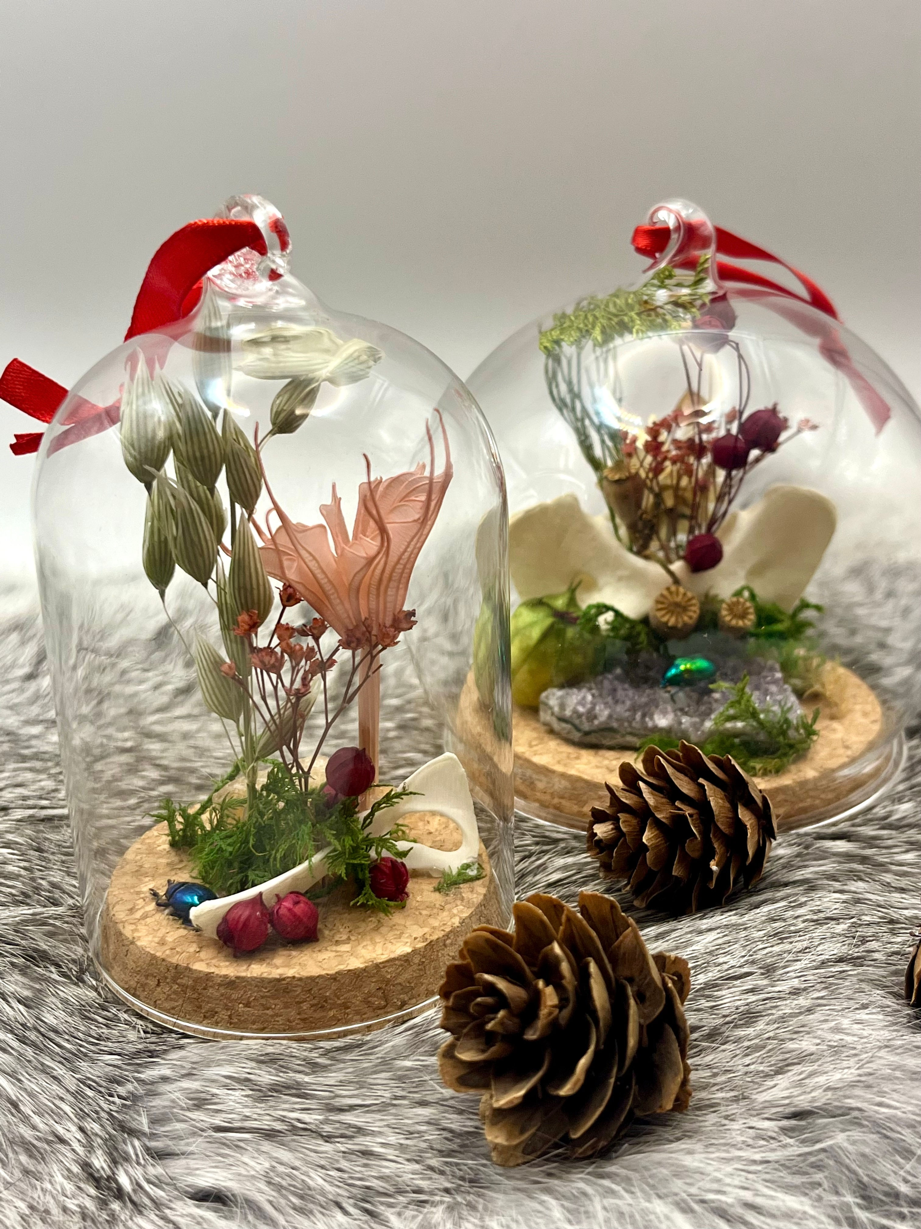 Two mini glass ornament nature dioramas with small animal bones, preserved moss, flowers, and beetles.