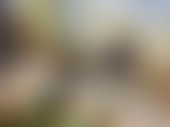 Einführung der "8er-Malfolge" 