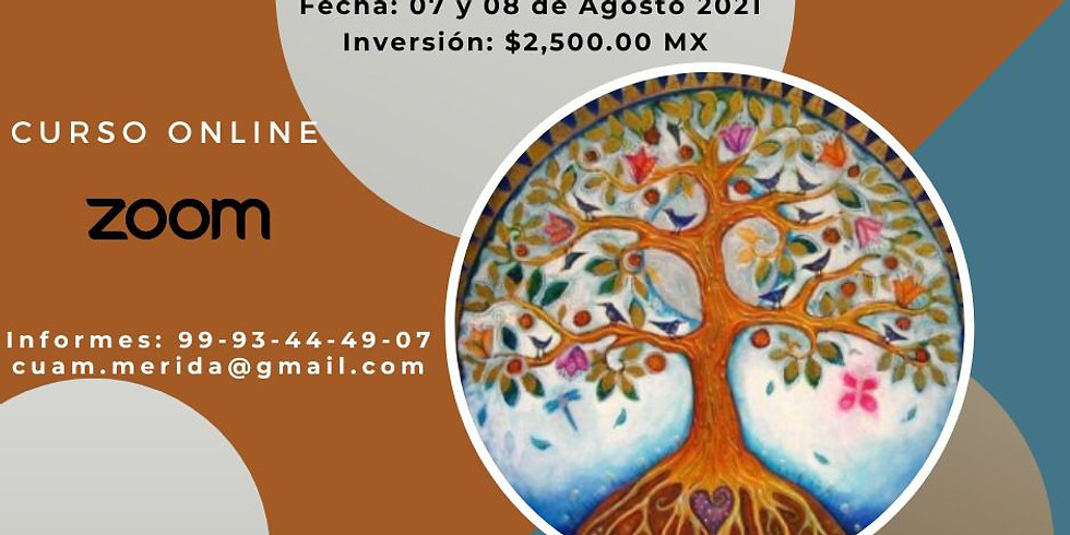 Curso Psicogenealogia