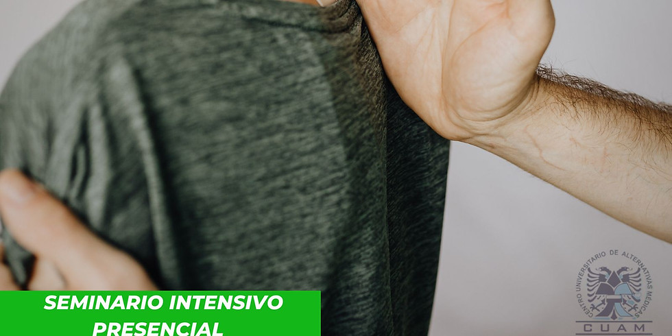 Seminario Intensivo Quiropractica
