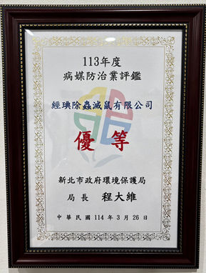 113年 新北市病媒防治評鑑優等