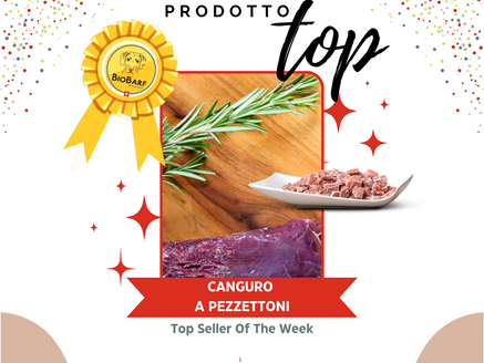 PRODOTTO TOP Oggi parliamo di… Canguro (Pezzettoni)