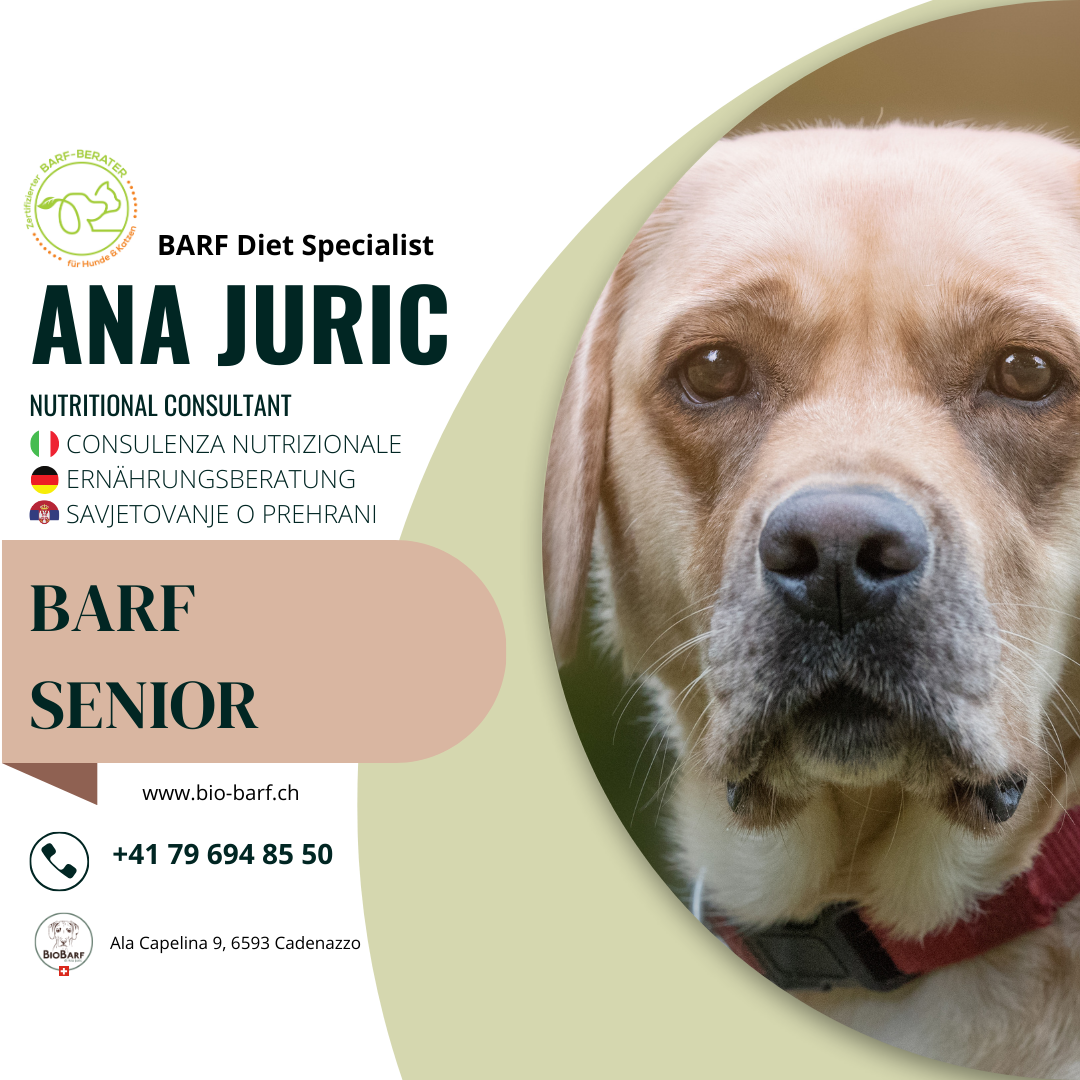 CONSULENZA NUTRIZIONALE BARF SENIOR