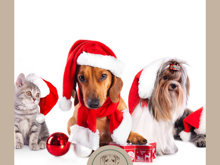 Buon Natale da Bio Barf 