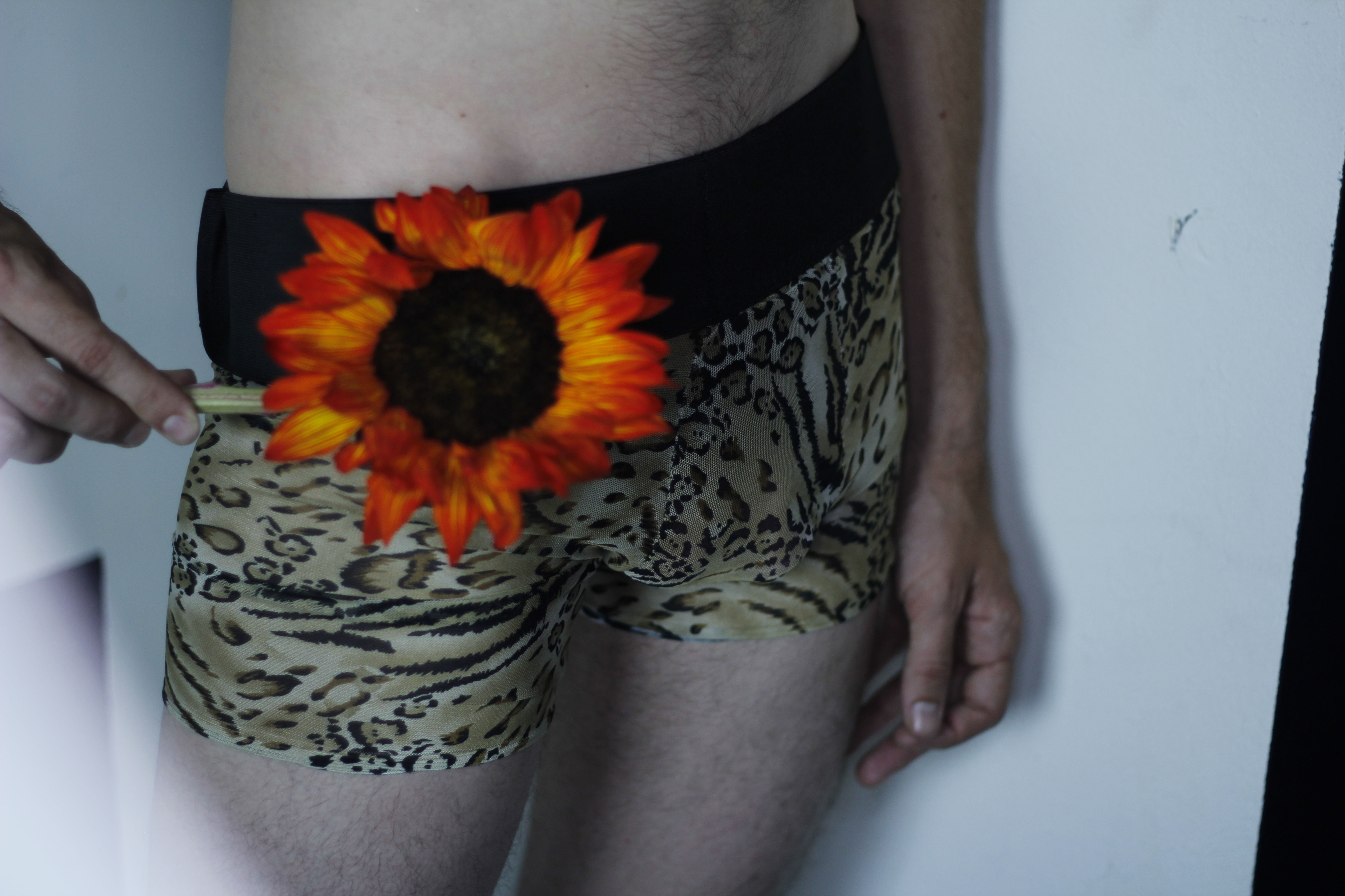 Salvaje Boxer Briefs