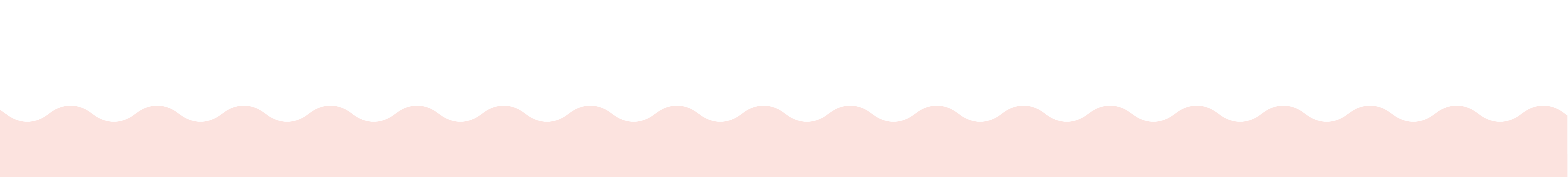 Pink Poppy Flowers