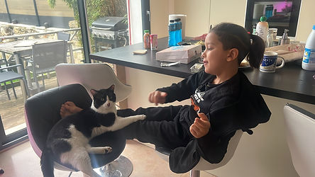 Oreo et en hauts j’arrive pas mais il est noir et blanc