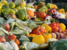 Ban Edible Food Waste from Grocery Stores