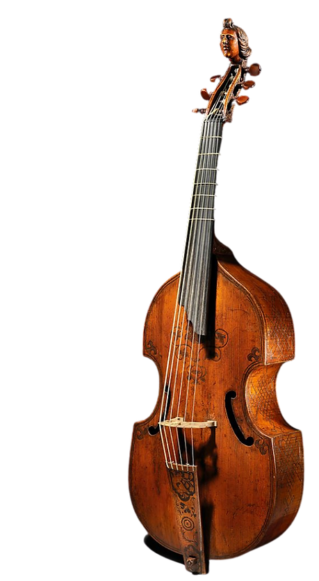 viola da gamba