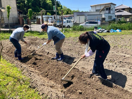 奈良市飛鳥地区での耕作放棄地活用