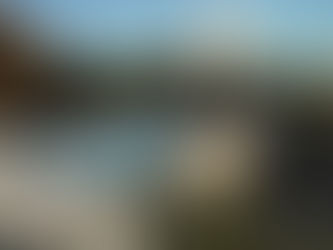 LE GÎTE ROOTS EN CAMARGUE