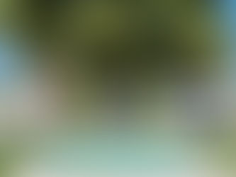 LE MAS CHIC ET BOHÈME