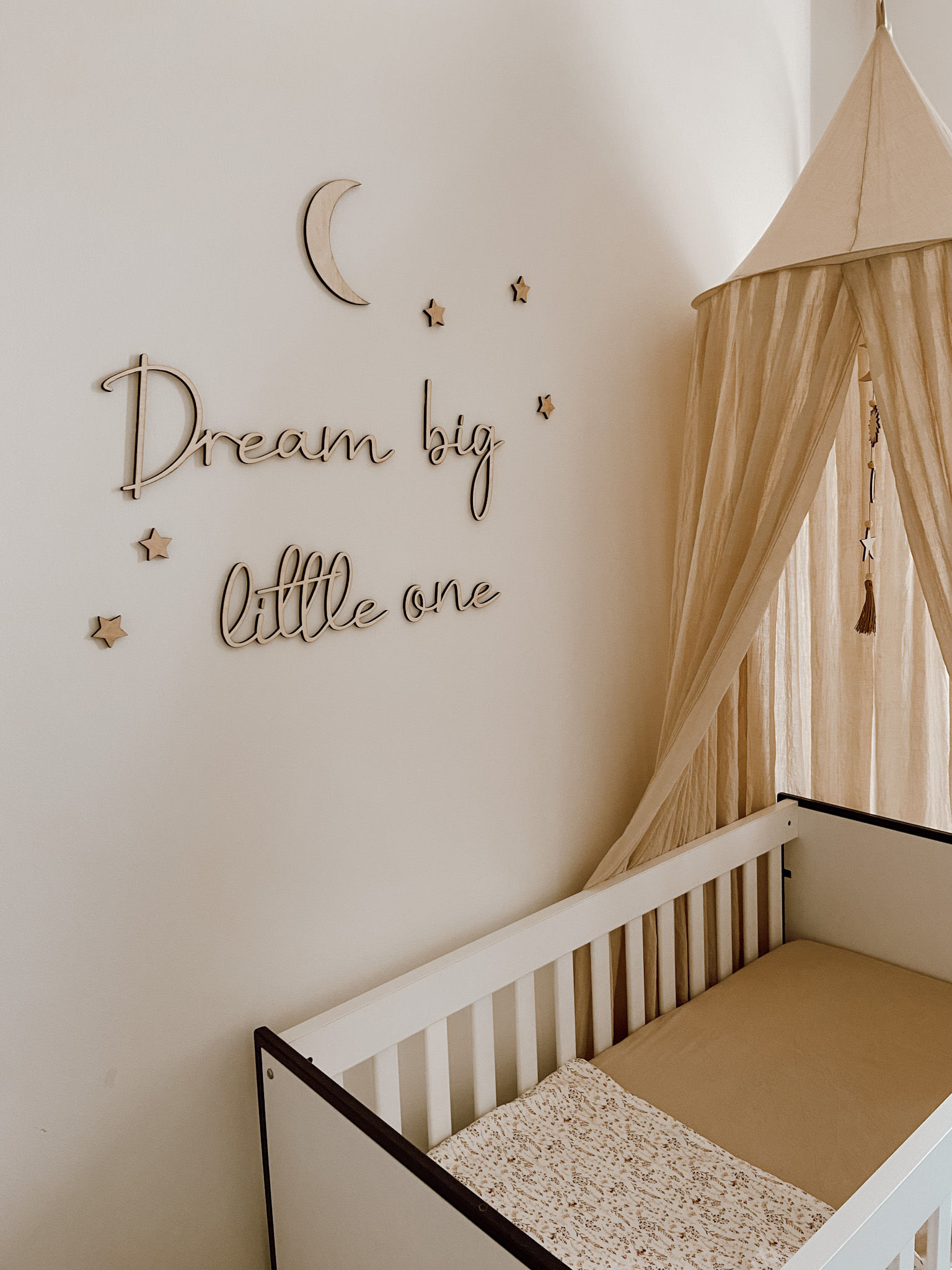 Tekst "Dream big little one" Handwriting