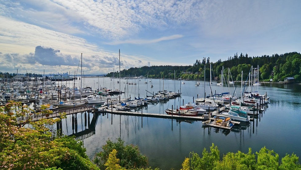 The Marina