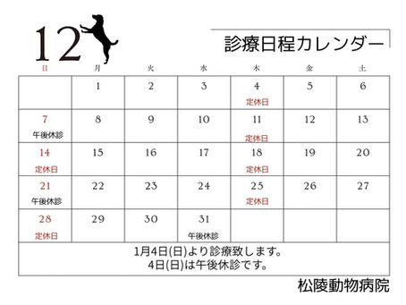 １２月の診療日です。