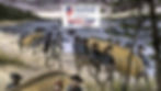 America's 250th Special Exhibits