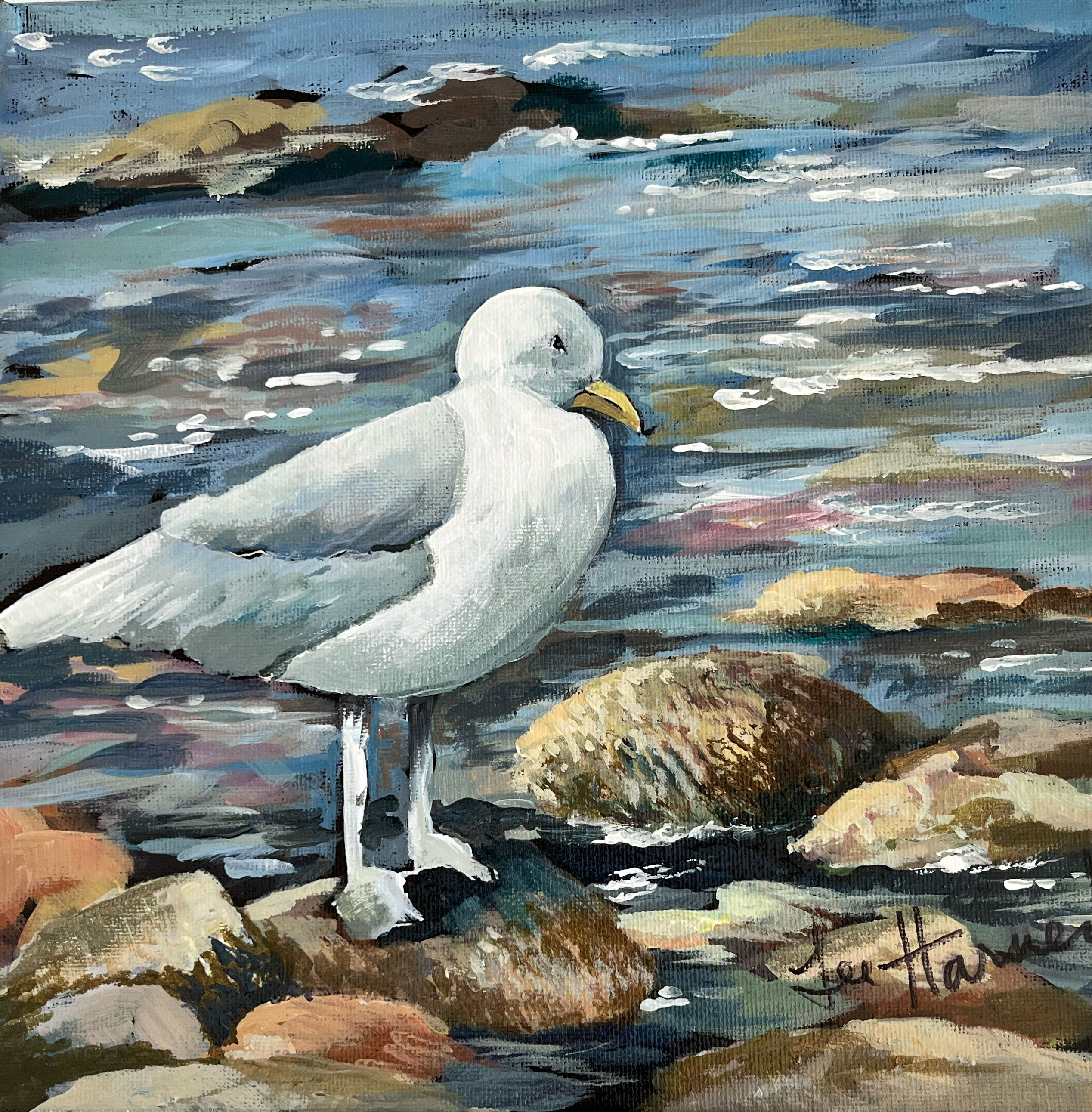 Curious Gull	by	Lee	Harned
