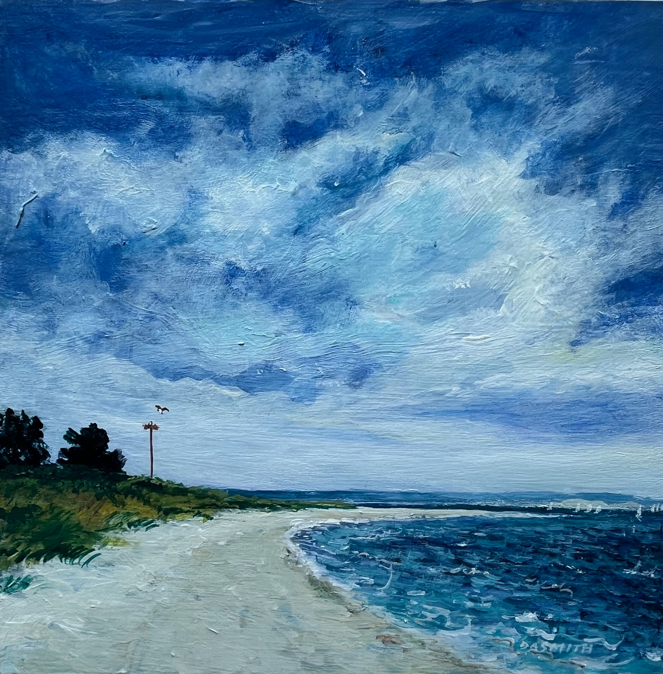 Nassau Point Sandbar by Diane Alec Smith