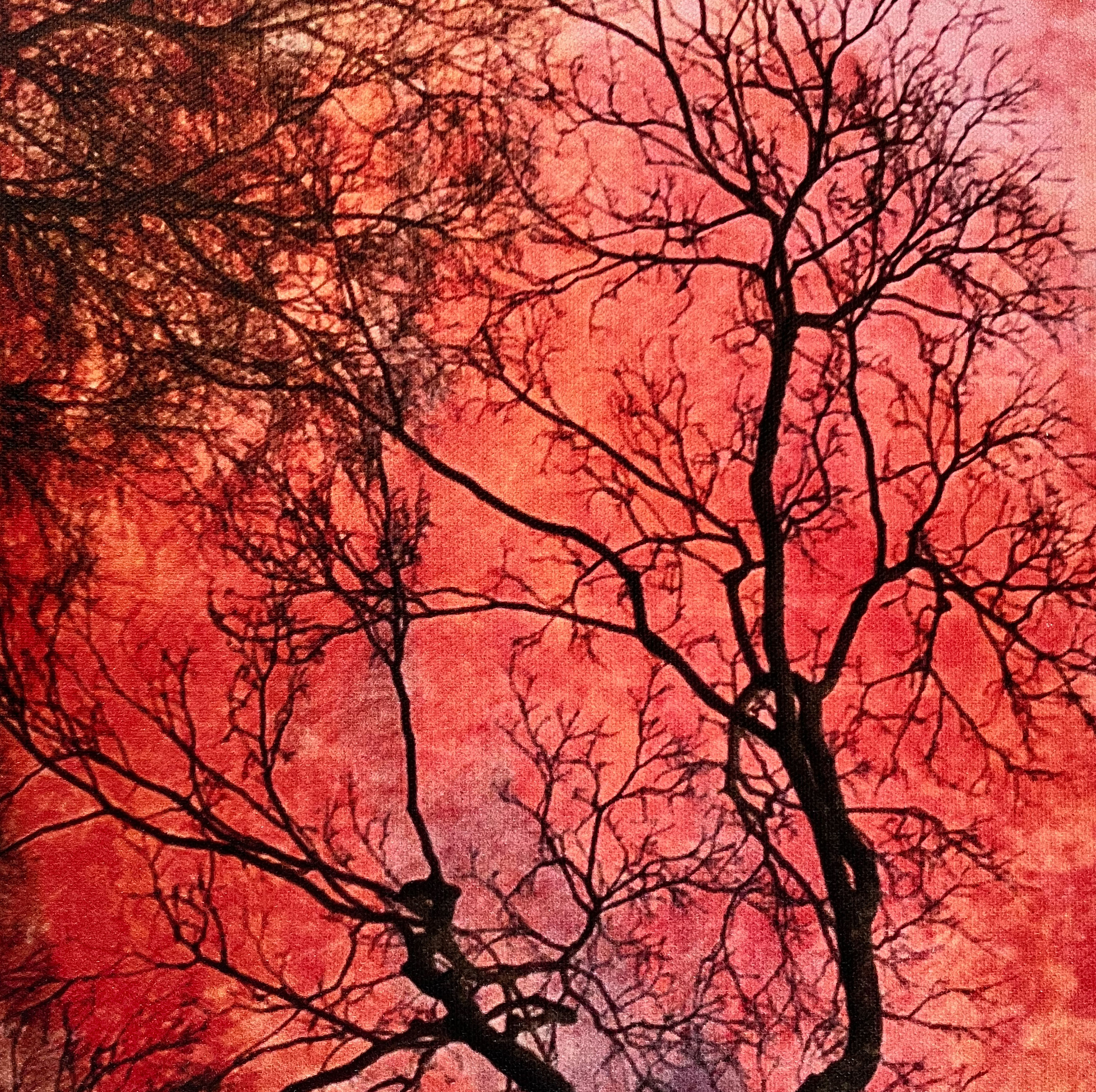 Inside or Outside	by	Jean	Schweibish