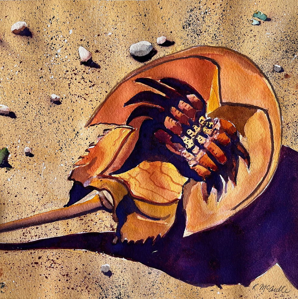 Horseshoe Crab by Kathleen McArdle