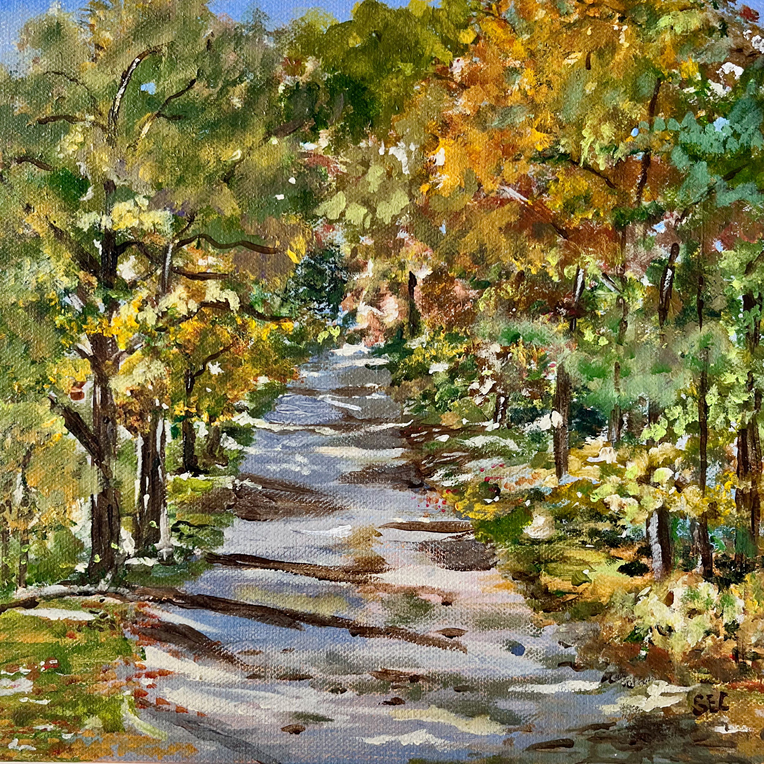 Autumn Drive by	Susan	Caraftis