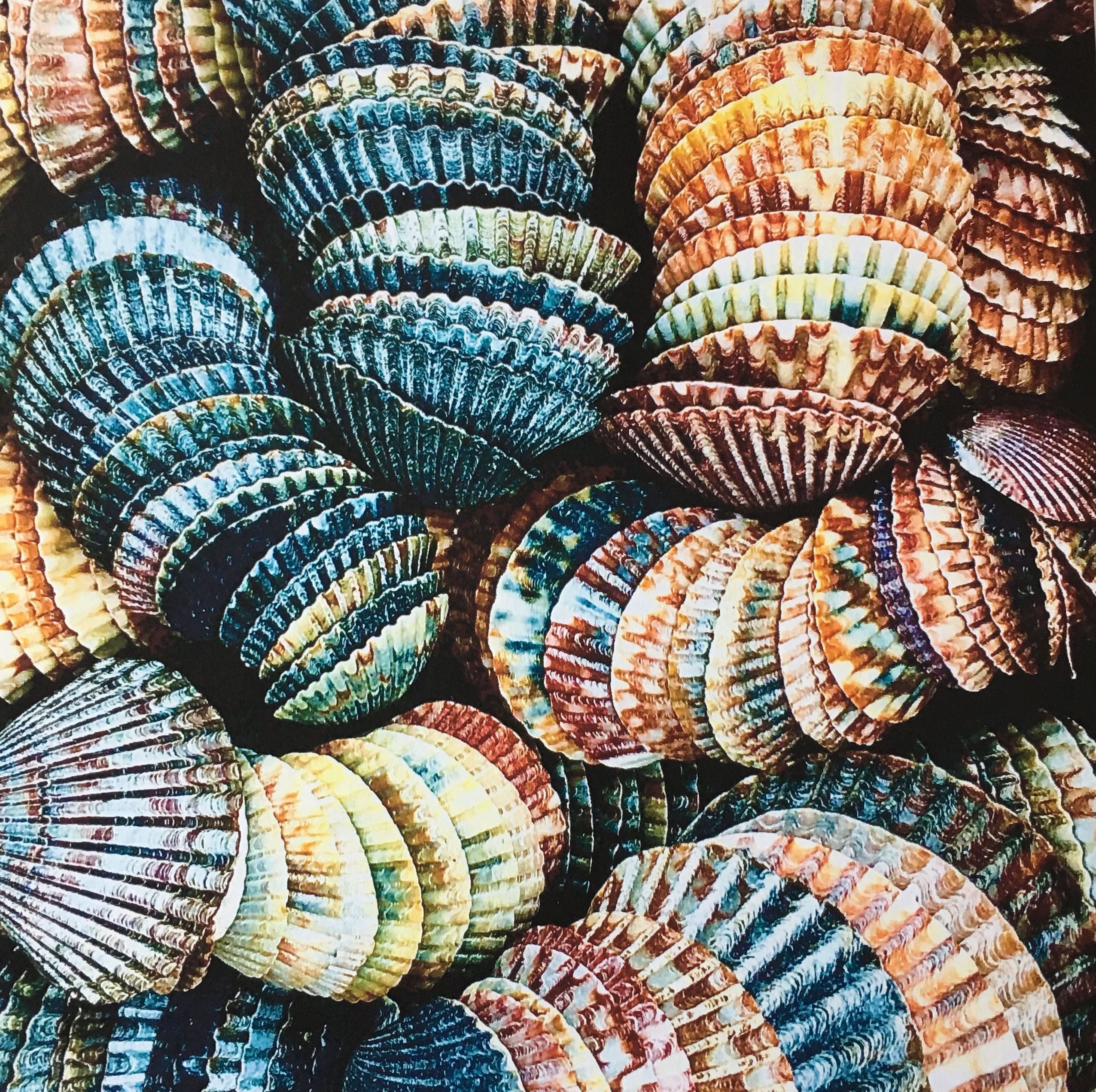 "All Akimbo" by Jody Cukier