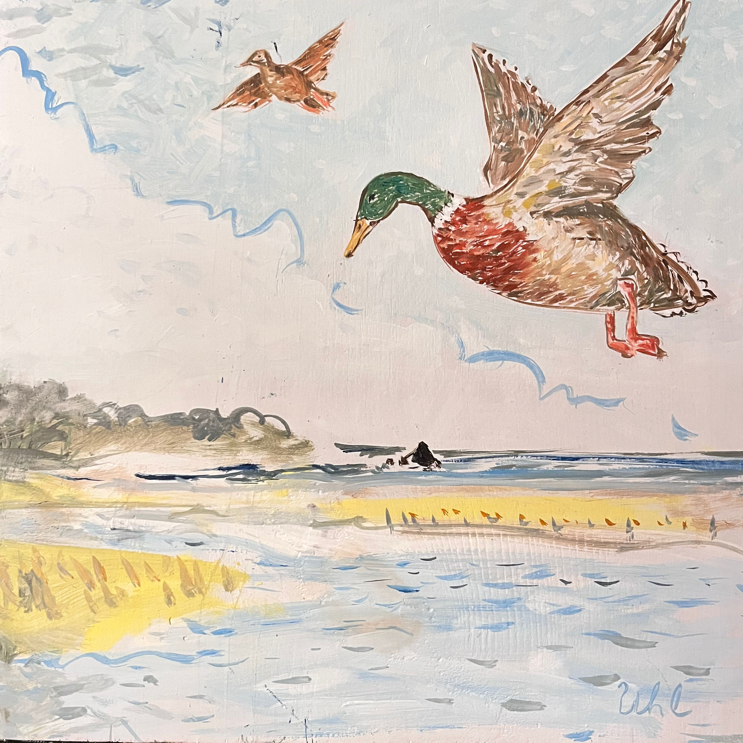 Over the Cove	by	Marilyn 	Uhl-Utz