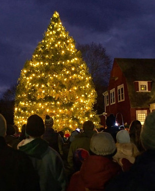 tree lighting at southold ny