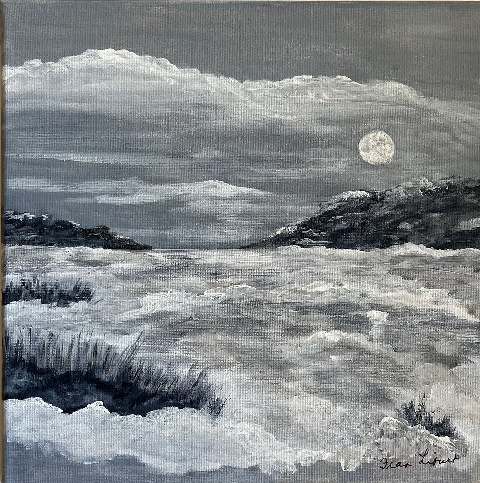 Moonlight Over Dam Pond by Frances Liburt