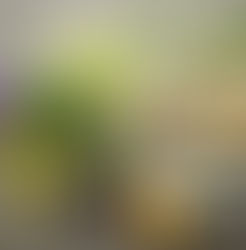 Why your modern diet just isn't enough