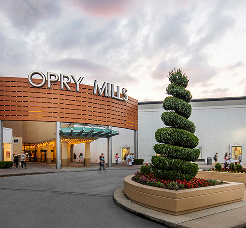 Shopping Extravaganza