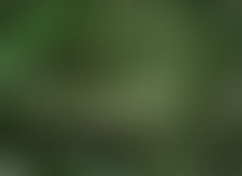 Inspiration for THE LAZARUS SPEAR cave