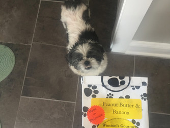 Winston's Gourmet Dog Treats!
