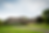 bankfield-from-behind_0.png