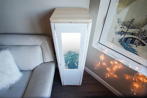 Grobo One Grow Box