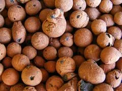 Expanded Clay Pellets
