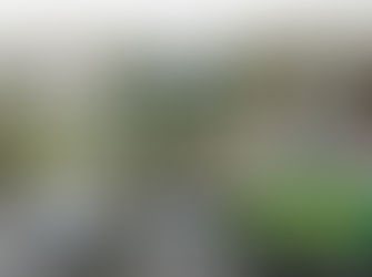 学区ふれあいまつりに参加しました！