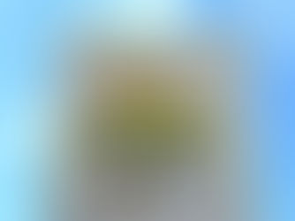 もぎたてのみずみずしさは最高!